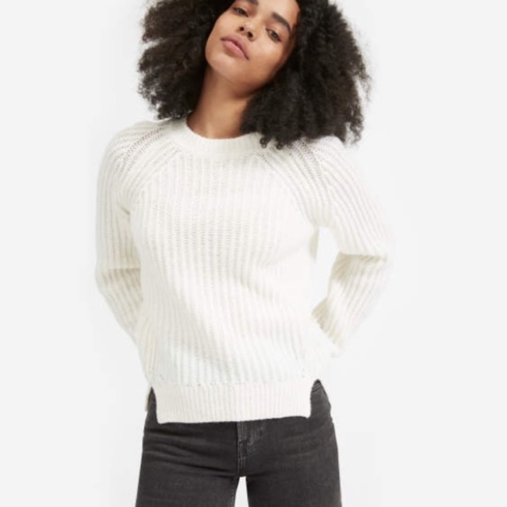 Everlane Italian soft wool crewneck sweater